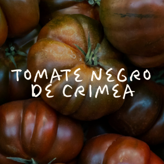 Tomate Negro de Crimea