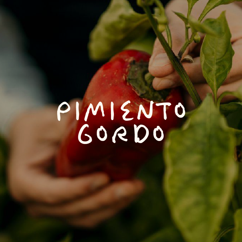 Pimiento Gordo Najerano