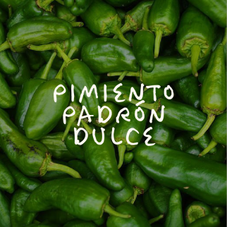 Pimiento Padrón Dulce