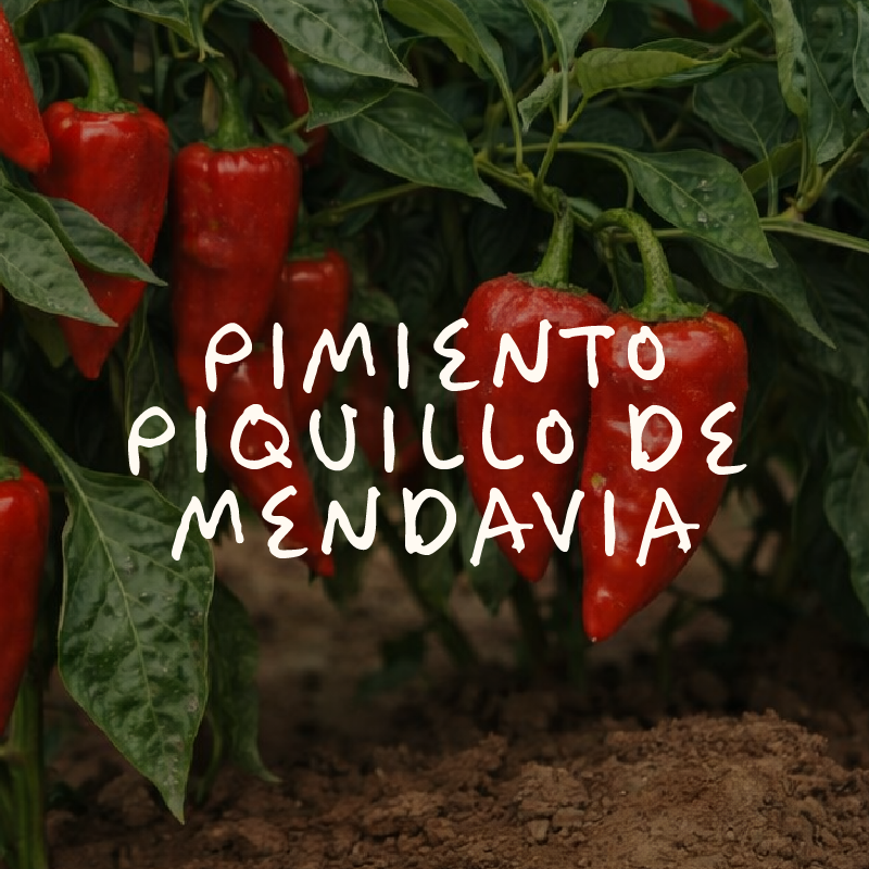 Pimientos del Piquillo Mendavia