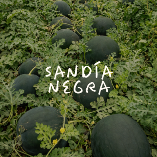 Sandía Negra