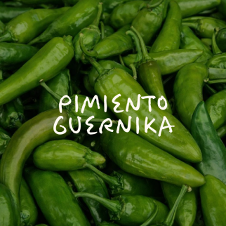 Pimiento Guernika