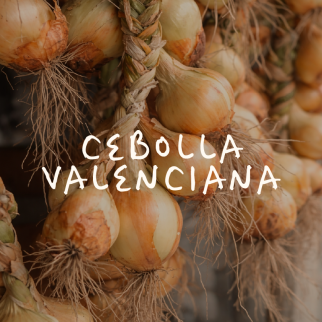 Cebolla Valenciana